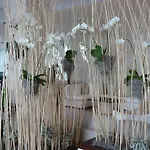 Hotel Bauer & Sporting 4*