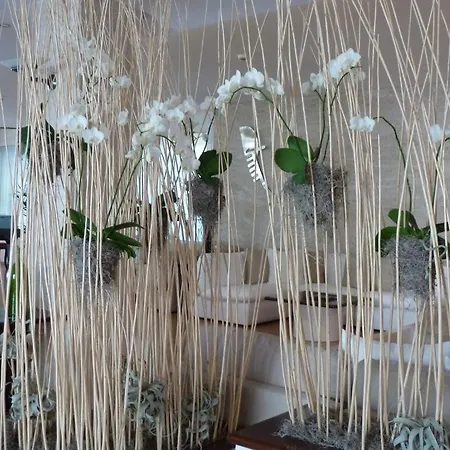 Otel Bauer & Sporting 4*